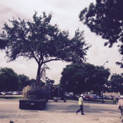 San Antonio Hemisfair Park