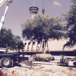 San Antonio Hemisfair Park